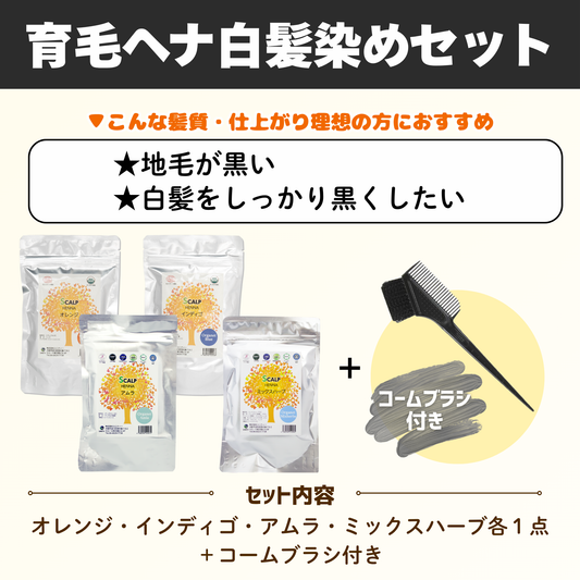 育毛ヘナ白髪染めスタートセット
